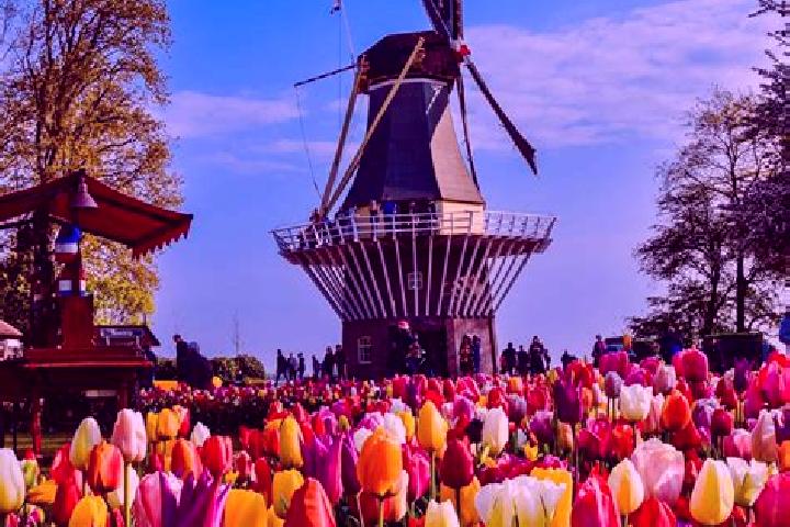 Zoey, 25 — Escort in Matenhoeve, Netherlands