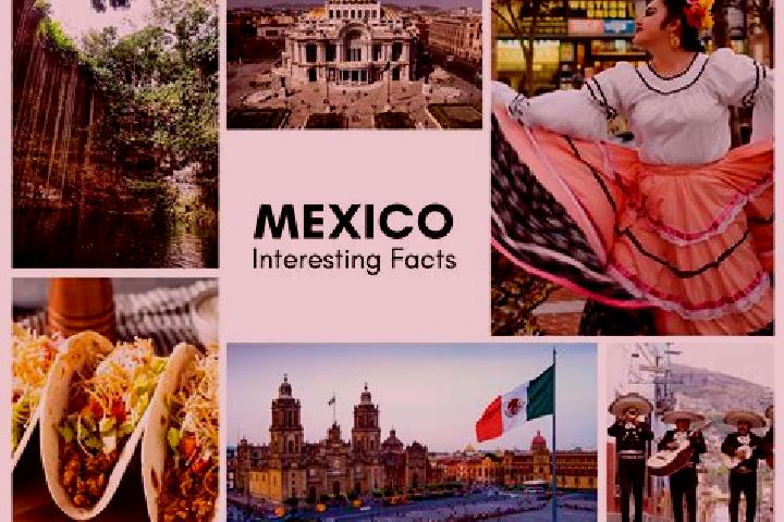 Zoey, 25 — Escort in Mixcum, Mexico
