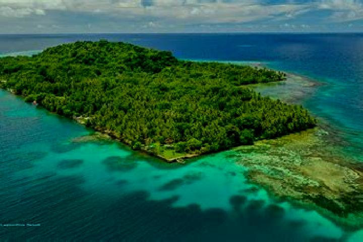 Zoey, 25 — Escort in Ngetkib, Palau