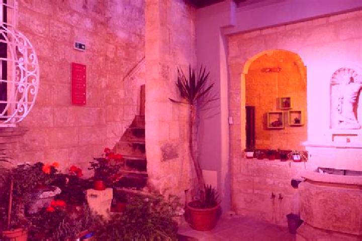 Zoey, 25 — Escort in Qormi, Malta
