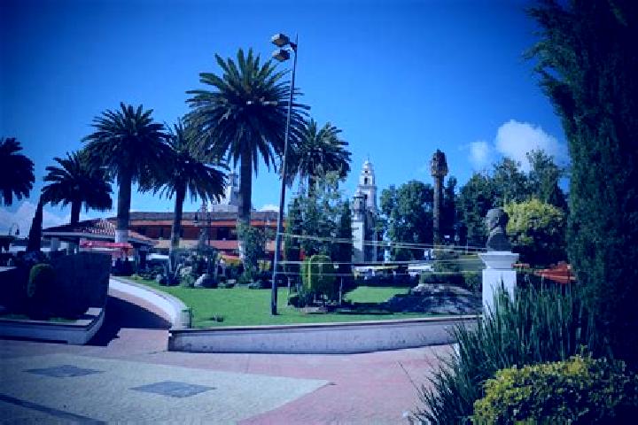 Zoey, 25 — Escort in San Pedro Arriba, Mexico