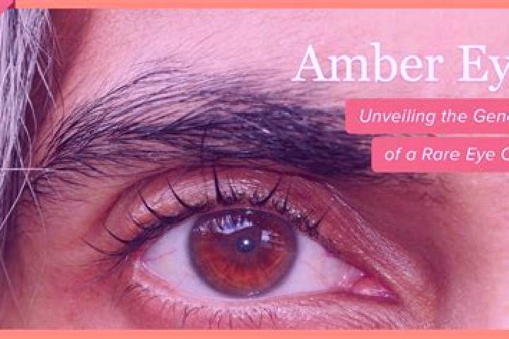 Zoey, 26, a red amber-eyed caribbean companion based in Tuchan. Offering Fetish, Couples, Deep French Kissing, Girlfriend Experience. Available for incall an...