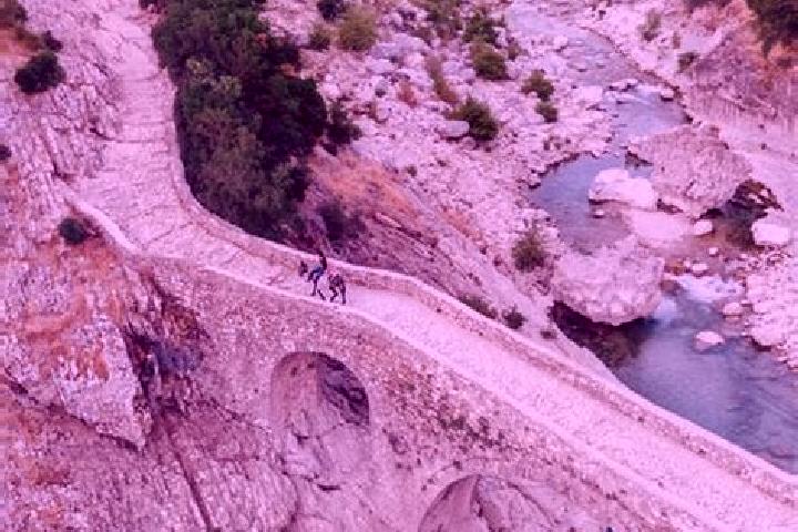 Zoey, 26 — Escort in Brataj, Albania