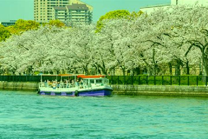 Zoey, 26 — Escort in Nakanoshima, Japan