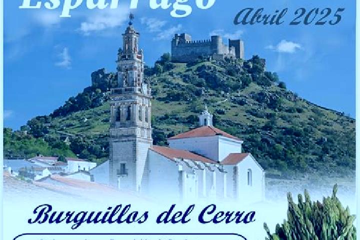 Zoey, 27 — Escort in Burguillos, Spain