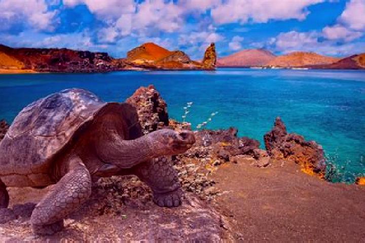 Zoey, 27 — Escort in Galapagos, Spain