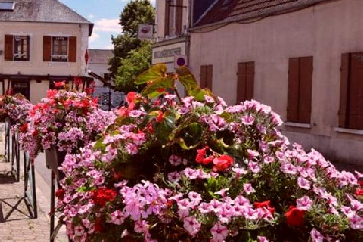 Zoey, 27 — Escort in Les Essarts-le-Roi, France