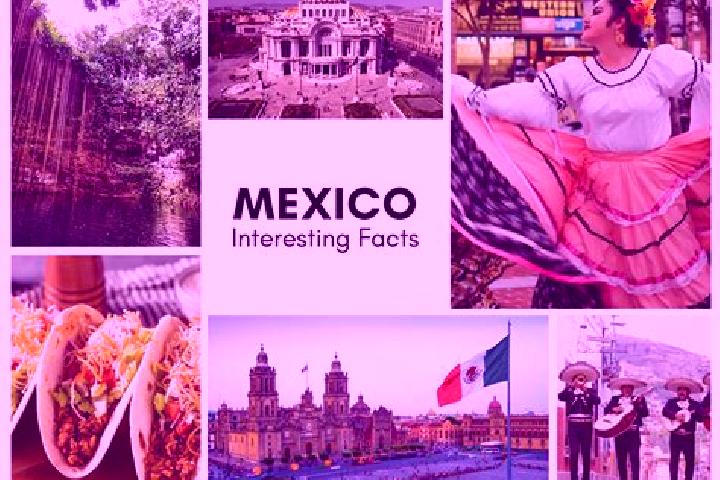Zoey, 27 — Escort in Mozapa, Mexico