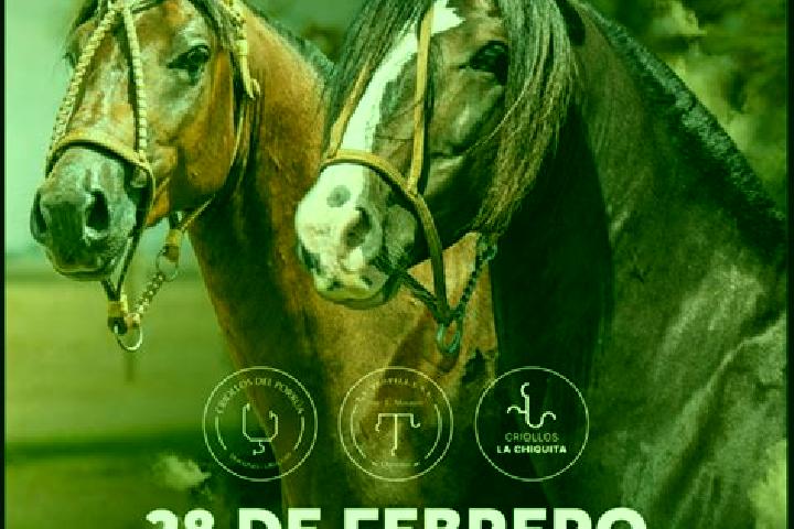 Zoey, 27 — Escort in Santa Bernardina, Uruguay