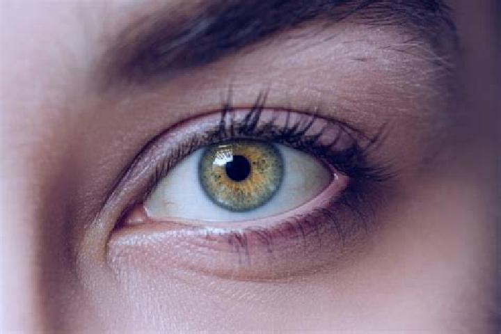 Zoey, 28, a chestnut hazel-eyed mixed companion based in Green Park. Offering OWO, CIM, A-Level. Available for incall and outcall, overnight bookings available.