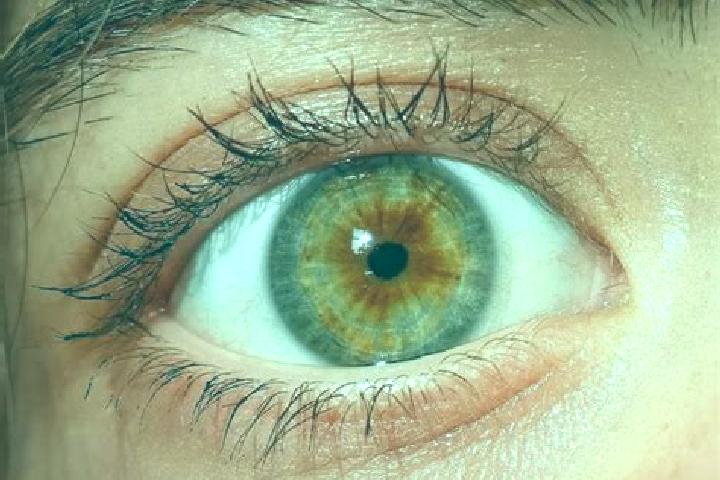 Zoey, 28, a red hazel-eyed ebony companion based in Boechout. Offering Couples, Party Girl, CIM. Available for incall and outcall, overnight bookings available.