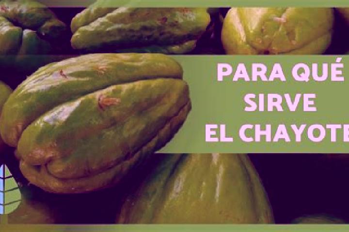 Zoey, 28 — Escort in El Chayote, Mexico