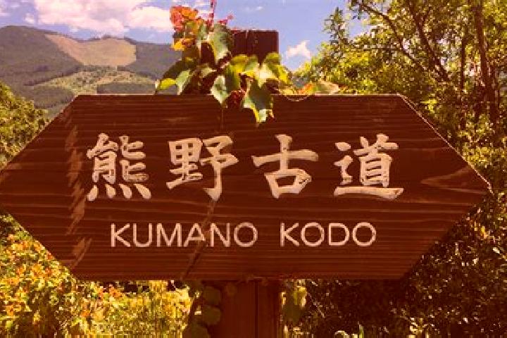Zoey, 28 — Escort in Kumano, Japan