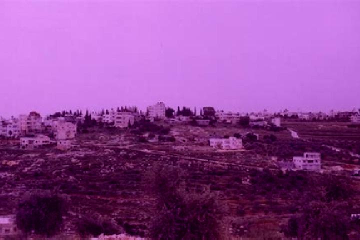 Zoey, 28 — Escort in Saffa, Palestine