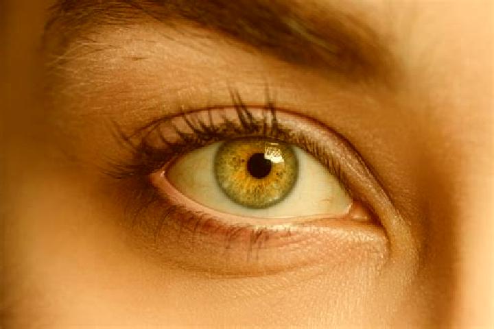 Zoey, 29, a chestnut hazel-eyed mixed companion based in Anarestan. Offering Massage, Striptease, Prostate Massage. Available for incall and outcall, overnig...