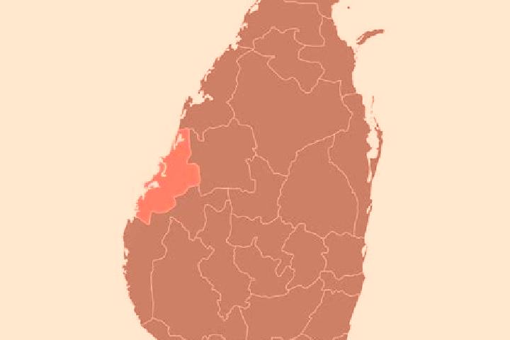 Zoey, 29 — Escort in Batticaloa, Sri Lanka