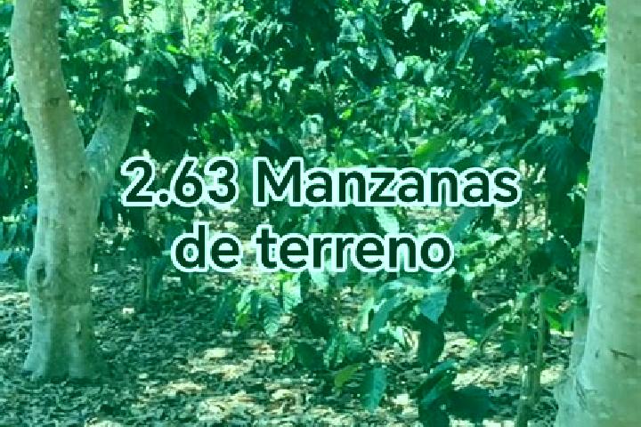Zoey, 30 — Escort in Jalapa, Guatemala