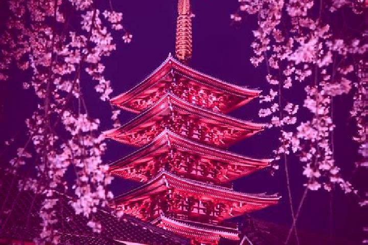 Zoey, 30 — Escort in Kosuge, Japan