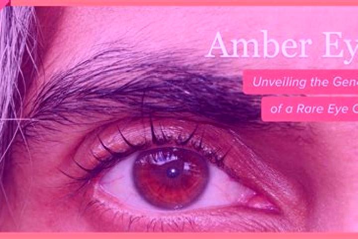 Zoey, 31, a red amber-eyed mixed companion based in Borcut. Offering Prostate Massage, GFE, Travel Companion. Available for incall and outcall, day and eveni...