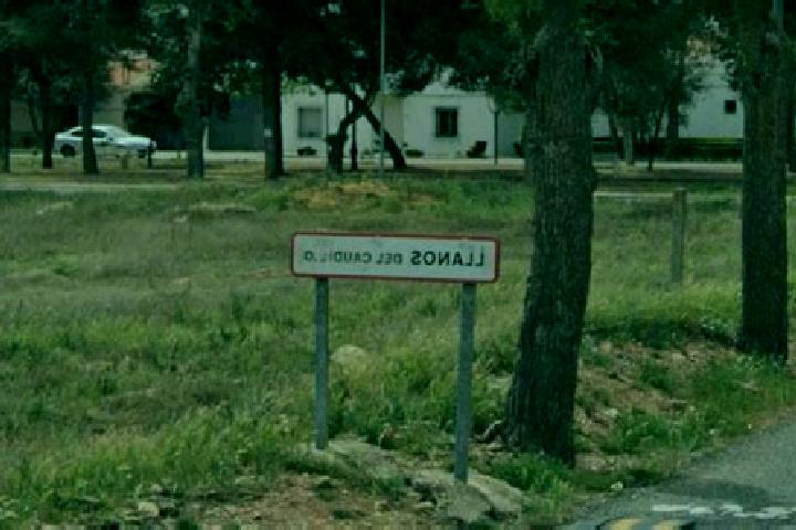 Zoey, 31 — Escort in Llanos del Caudillo, Spain