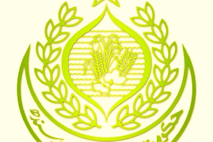 Zoey, 31 — Escort in Markaz-e Hukumat-e Darweshan, Afghanistan