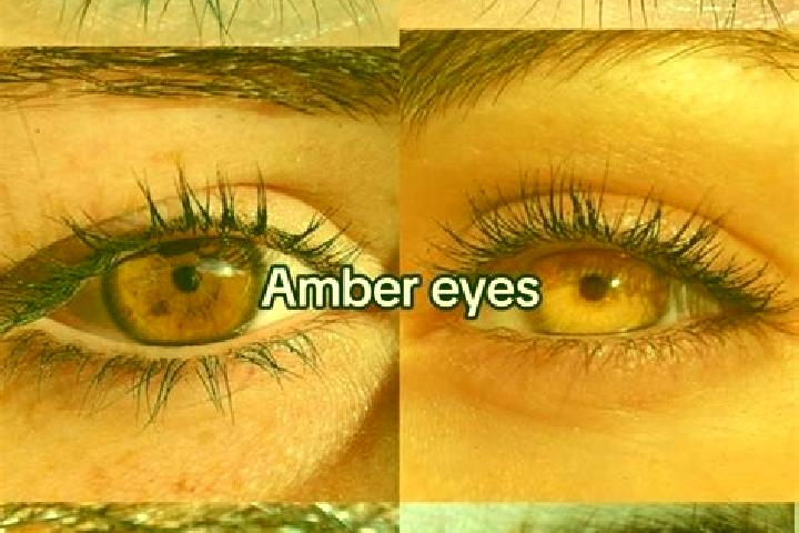 Zoey, 32, a chestnut amber-eyed mixed companion based in Schwerzenbach / Widacher. Offering CIM, Dinner Date, Fetish, Domination. Available for incall and ou...