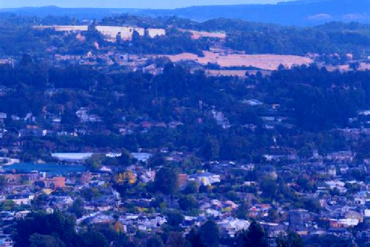 Zoey, 32 — Escort in Carbonado, United States
