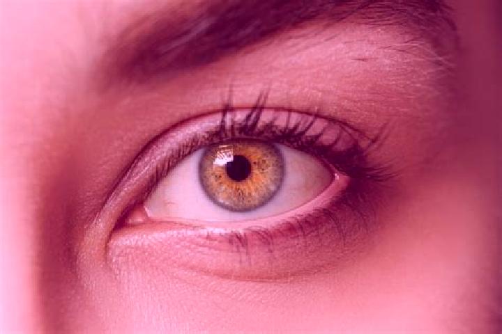 Zoey, 33, a black hazel-eyed mixed companion based in Walnut Creek. Offering 69, OWO, Overnight, Fetish. Available for incall and outcall, overnight bookings...
