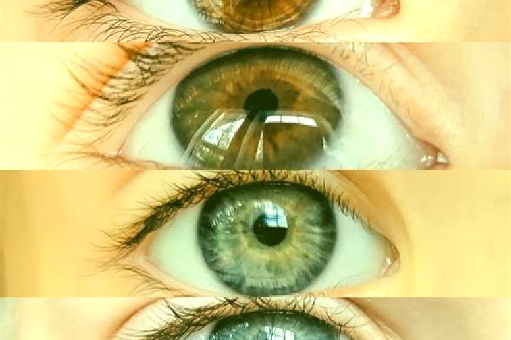 Zoey, 33, a chestnut green-eyed mixed companion based in Ambato. Offering Girlfriend Experience, Couples, Tantra, CIM. Available for incall and outcall, day ...