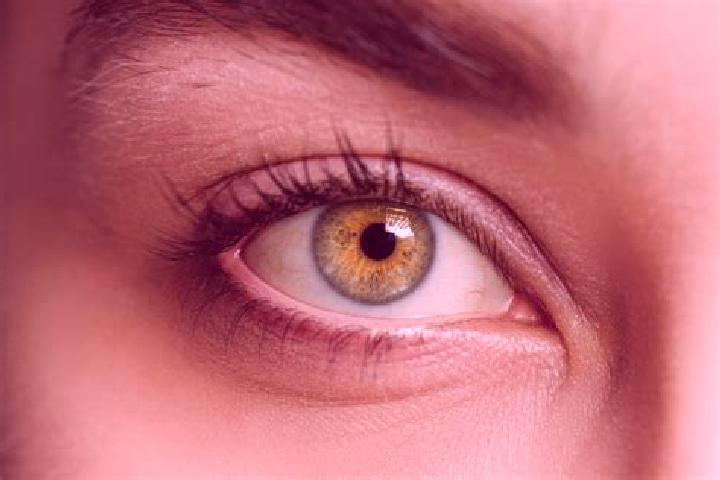 Zoey, 33, a chestnut hazel-eyed mixed companion based in Newark. Offering Striptease, Travel Companion, Prostate Massage. Available for incall and outcall, d...