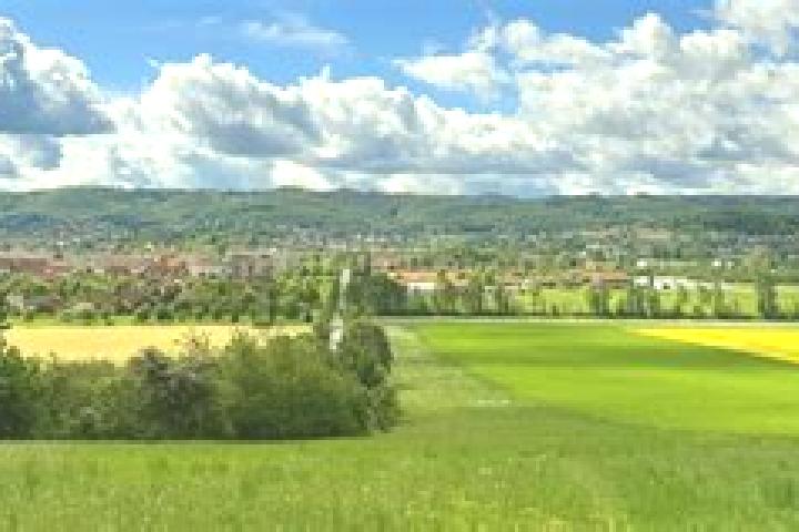 Zoey, 33 — Escort in Graefenhainichen, Germany