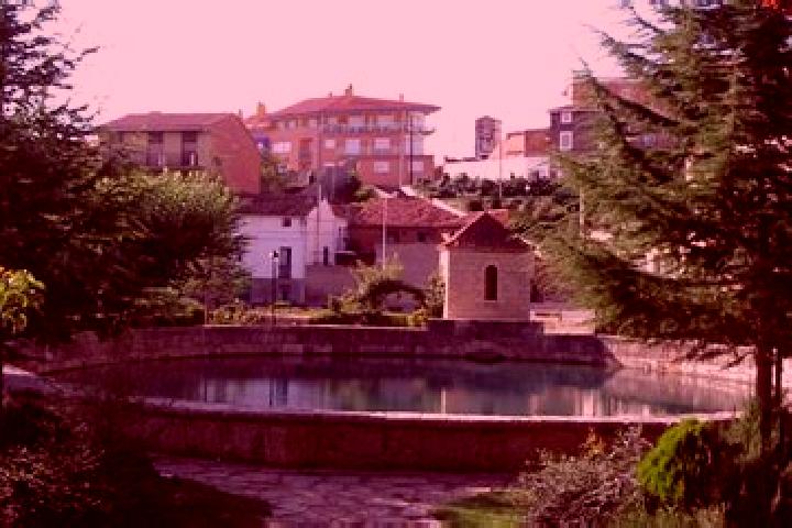 Zoey, 33 — Escort in Monteagudo del Castillo, Spain