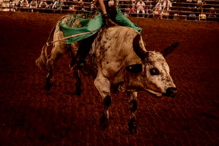 Zoey, 33 — Escort in Rodeo, Argentina
