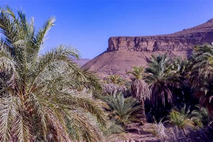 Zoey, 34 — Escort in Dar el Barka, Mauritania