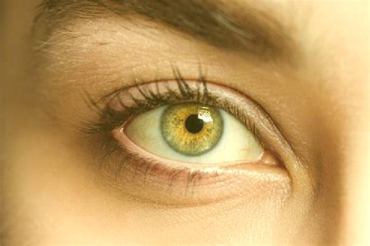Zoey, 35, a chestnut hazel-eyed mixed companion based in Gross Niendorf. Offering Deep French Kissing, Girlfriend Experience, Striptease. Available for incal...