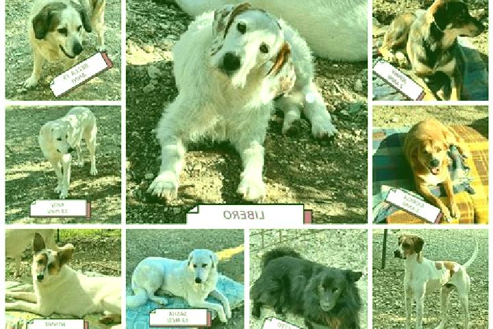 Zoey, 35 — Escort in Lomo de Arico, Spain