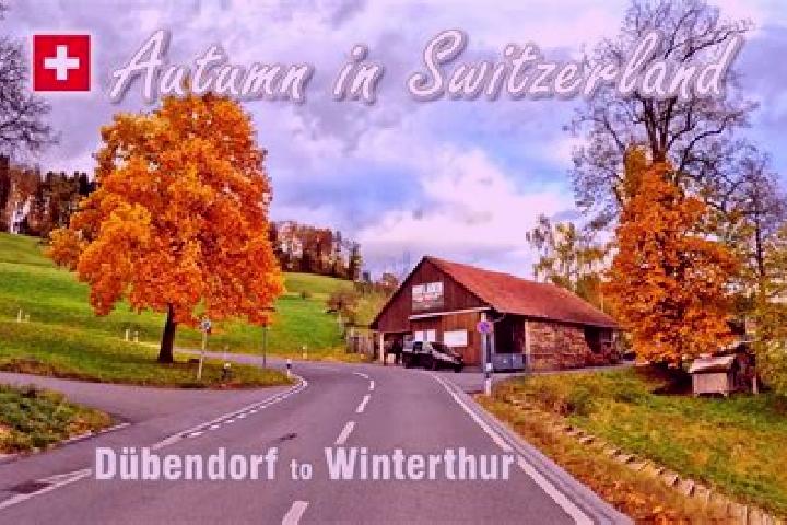 Zoey, 36 — Escort in Duebendorf / Zelgli, Switzerland