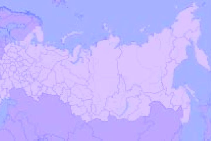 Zoey, 36 — Escort in Loknya, Russia