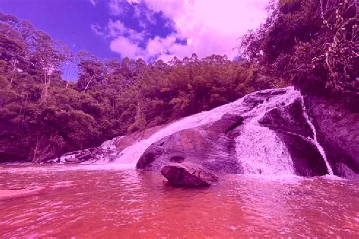 Zoey, 36 — Escort in Muriae, Brazil