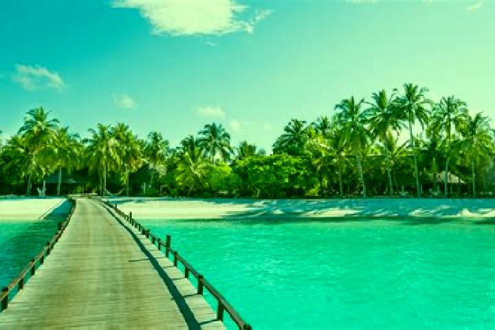 Zoey, 36 — Escort in Vaitoare, French Polynesia