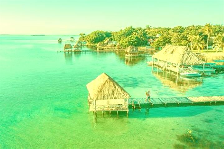 Zoey, 37, a black brown-eyed caribbean companion based in Bacalar. Offering Couples, Deep French Kissing, 69. Available for incall and outcall, day and eveni...