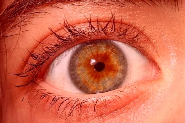 Zoey, 37, a red hazel-eyed mediterranean companion based in Bechy. Offering GFE, Duos, CIM, Domination, Tantra. Available for incall and outcall, day and eve...