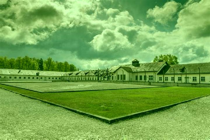 Zoey, 37 — Escort in Dachau, Germany
