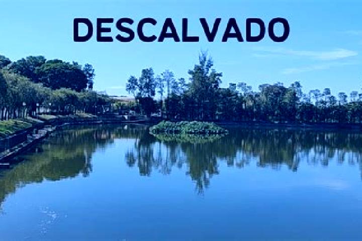 Zoey, 37 — Escort in Descalvado, Brazil