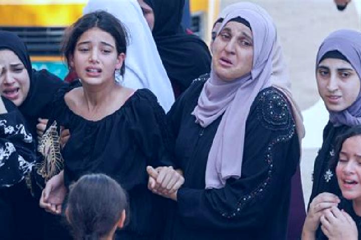 Zoey, 37 — Escort in Kafr Dan, Palestine