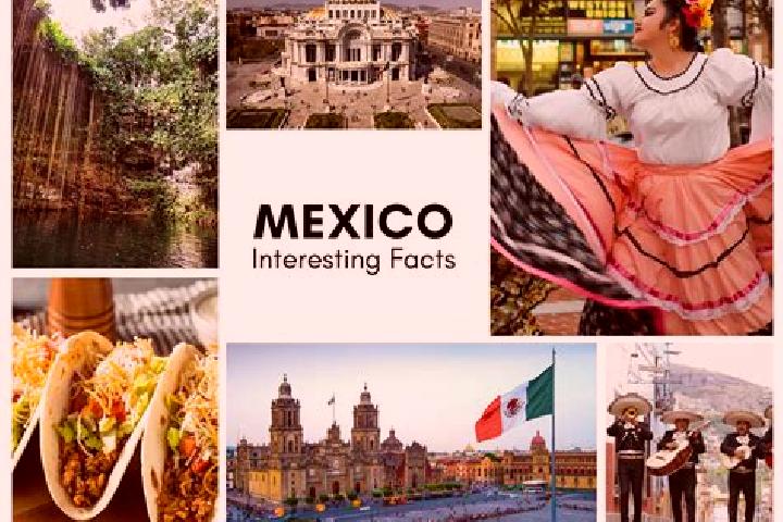 Zoey, 37 — Escort in La Revolucion, Mexico