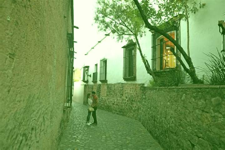 Zoey, 37 — Escort in Pueblo de Alamos, Mexico