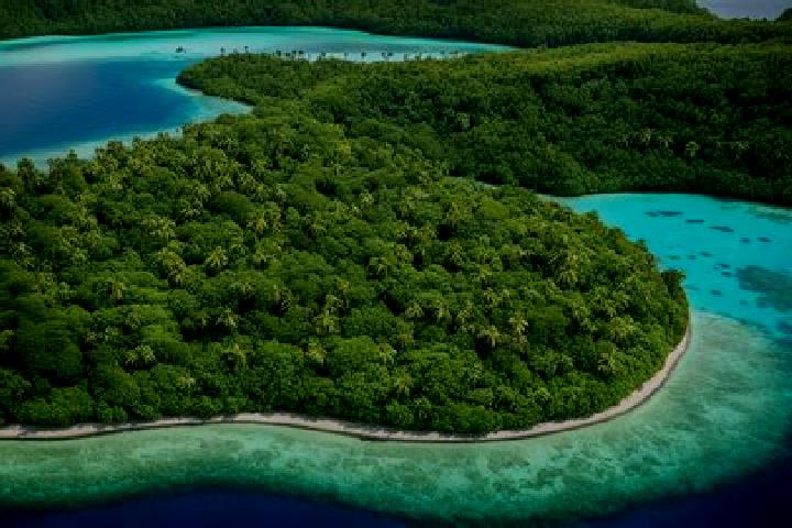 Zoey, 37 — Escort in Rove - Lengakiki, Solomon Islands