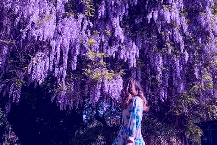 Zoey, 37 — Escort in Schitu Frumoasa, Romania