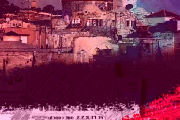 Zoey, 37 — Escort in Zabdah, Palestine